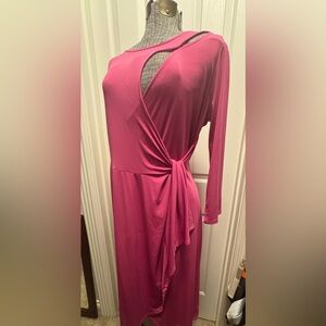 Notations Fuchsia Asymmetrical Dress